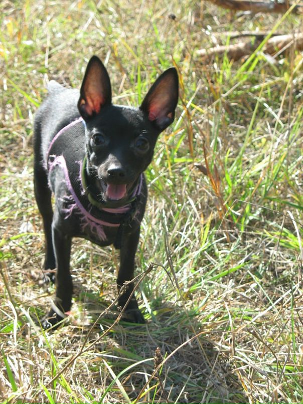 Александр Шаров фотография #16