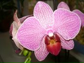 Ірина Зіненко фотография #14 (источник - https://vk.com/id10700155)