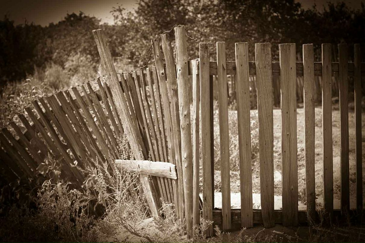 Дмитрий Быков фотография #43