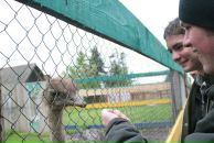 Кірыл Машэка фотография #25 (источник - https://vk.com/id6298428)