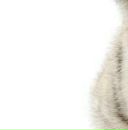 Марія Козак фотография #17 (источник - https://vk.com/id148871802)