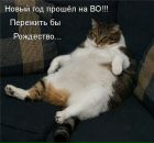 Фотография Саликаева Дмитрия