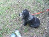 Андрій Баграмов фотография #46 (источник - https://vk.com/id21831868)