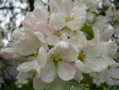 Фотография Евсюковой Натальи