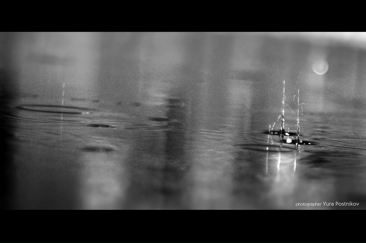 Юра Постников фотография #20