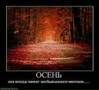 Вика Ткаченко-Малинкина фотография #39 (источник - https://vk.com/id4354431)