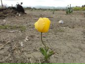 Фотография Икэда Сатоси